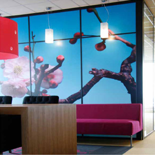 duurzaam | filippini interieur architecten